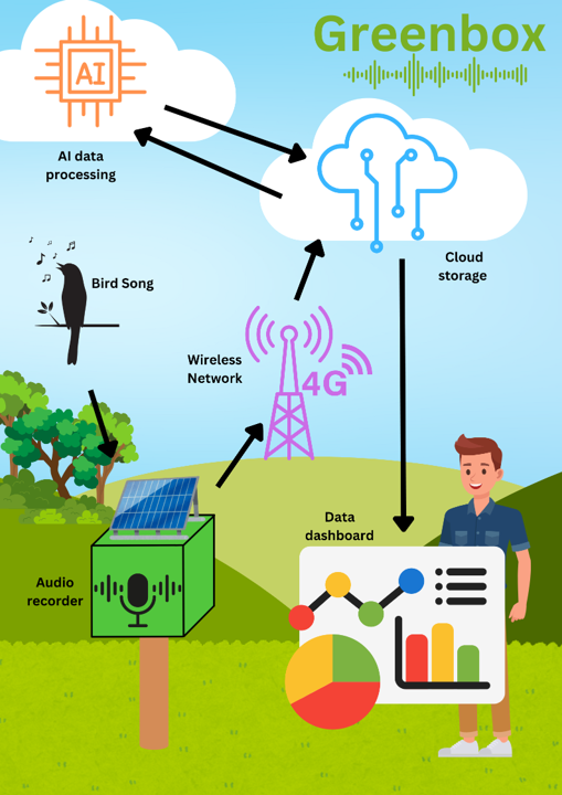 Greenbox autonomous acoustic sensor network from field recorder through wireless cloud infrastructure and AI processing to a data dashboard
