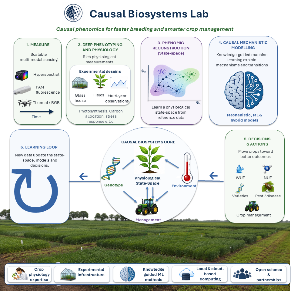 Schematic of the Causal Biosystems Lab research approach